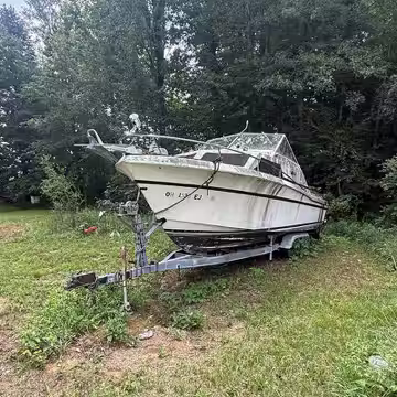 Boat before professional removal